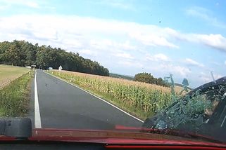 Hádka po italsku, poctivá dávka nehod a služební auto jako lék na mindrák | Brněnská odchytová – dashcam